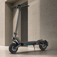 Scooter Eléctrico Todoterreno Plegable N04 48V 800W 15Ah 10 Pulgadas Venta al por Mayor