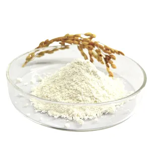 RICI Rice Bran Extract Powder Natural 98% Ferulic Acid White Powder