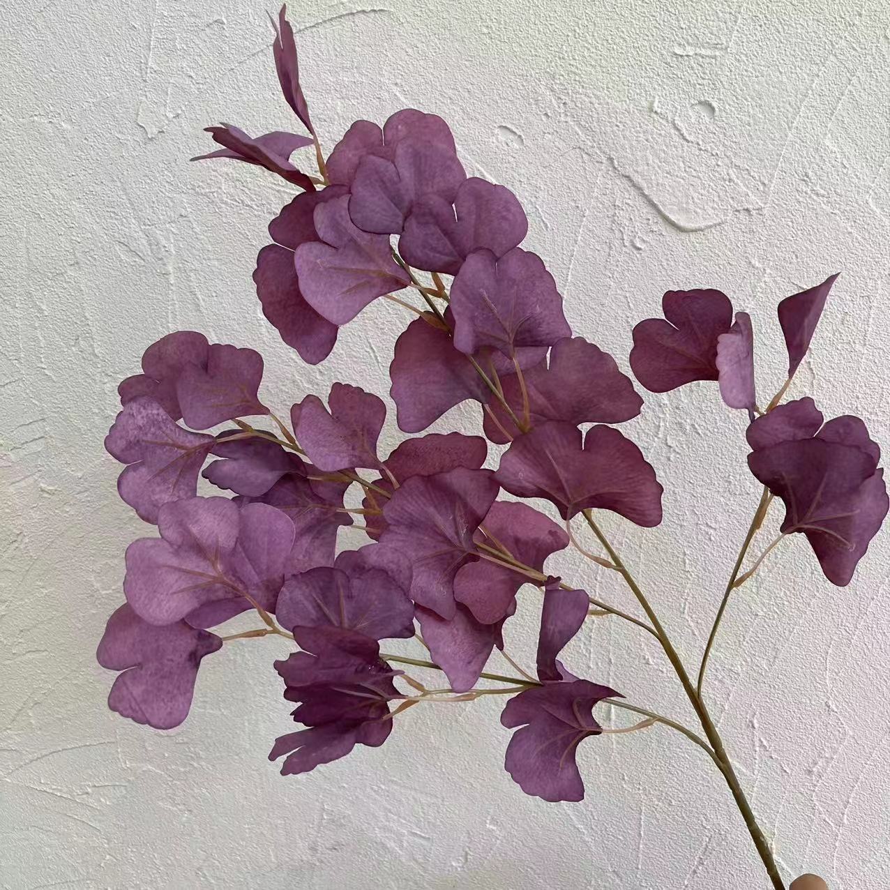 #5 feuilles de ginkgo biloba