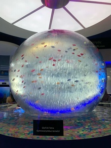 <span class=keywords><strong>Betta</strong></span> Aquarium Aquário Aquário para <span class=keywords><strong>Betta</strong></span> <span class=keywords><strong>Fish</strong></span> Aquário para <span class=keywords><strong>Betta</strong></span> <span class=keywords><strong>Fish</strong></span> - Product Image 2