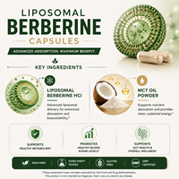 Durlevel Berbérine Liposomale Encapsulée de Précision 500mg – Soutien Bioactif Puissant – Solution de Fabrication OEM pour la Vente en Gros Mondiale