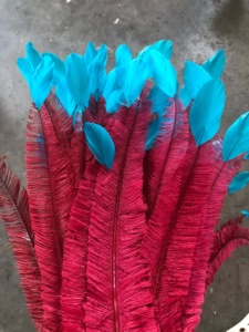 Pluma de avestruz teñida de 50 cm, plumas de nandú para tocados de novia, centros de mesa, decoración de jarrones, manualidades florales, sombrerería, AC8 - Product Image 2