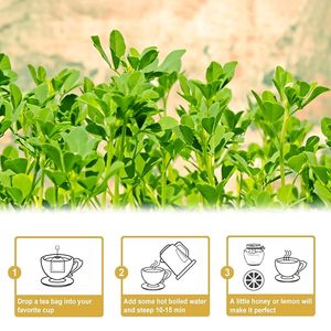 100% tự nhiên Fenugreek Trà Thảo Dược tinh khiết Fenugreek hạt giống với tùy chỉnh bao bì - Product Image 3
