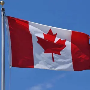 Kustom profesional bordir nilon 210d spanduk bendera negara seluruh dunia bendera Kanada kualitas tinggi untuk merayakan