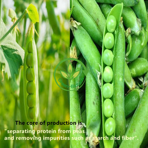 天然有機エンドウ豆タンパク質非GMOエンドウ豆タンパク質粉末80% エンドウ豆タンパク質 - Product Image 4