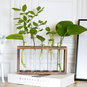 Jardinière en tube DREA avec support en bois, jardinière en verre, station de propagation, vase en tube à essai, pots de fleurs - Product Image 3