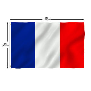Bolisi 3*5 pies poliéster bandera francesa 90*150cm banderín impermeable sublimación barata impresión Digital Bandera de Francia - Product Image 2