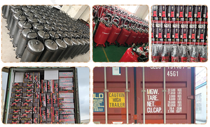 Aplicadora de Palanca Hidromar Portátil Eléctrica para Aceite, Extractor de Suero, con Depósito y Gatillo - Product Image 6