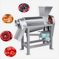 Zware uitvoering Malediven Mannelijke Guave Wortel Appel Citroen Spiralen Sap Fruitpulp Machine