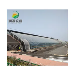 Invernaderos agrícolas de invierno para invernadero, calefacción Solar