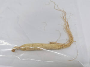 Yüksek kaliteli Ginseng kökü Ginseng kökü ekstresi tozu Panax Ginseng - Product Image 5