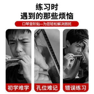 C2428 - Product Image 5