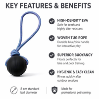 Balle interactive classique de luxe de 8 cm pour animaux de compagnie, balle creuse mignonne pour chiens et chats, jouet durable pour le nettoyage des dents agressives, en EVA écologique
