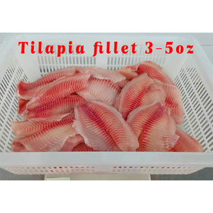 Dondurulmuş filete de tilapia precio <span class=keywords><strong>al</strong></span> por mayor filete de tilapia concondo precio <span class=keywords><strong>al</strong></span> por <span class=keywords><strong>file</strong></span> <span class=keywords><strong>file</strong></span> de tilapia fillets - Product Image 2