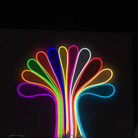 Bande lumineuse LED néon en cuivre étanche IP67 12V/24V de haute qualité, 120 LED/m, couleurs personnalisables (Bleu/Glace), contrôle par application/tactile pour aménagement paysager