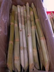 WHOLESALE FROZEN SUGARCANE WITH COMPETITIVE PRICE and HIGH QUALITY for EXPORT FROM VIETNAM - Product Image 5