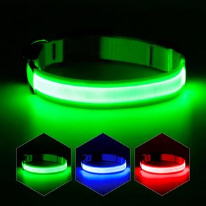 Collier LED pour chien en nylon, classique, réglable, étanche, lumineux, rechargeable par USB, idéal pour les promenades nocturnes – Offre Spéciale - Product Image 1