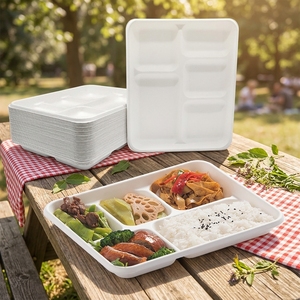 Offre Spéciale – <span class=keywords><strong>Assiette</strong></span> Alimentaire Compostable Jetable en Bagasse, Plateau Compartimenté Blanc Comestible à 5 Grilles pour Vaisselle et Camping - Product Image 4