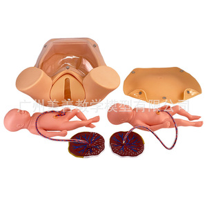 Modèle de formation complète aux compétences d'accouchement avancées, Modèle d'accouchement, Modèle fœtal, Formation complète aux compétences d'accouchement - Product Image 3