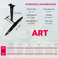 Aile d'hydrofoil en carbone ART PRO 1201 1291 cm² Ensemble complet avec sac Haute performance Kite Efoil Surf