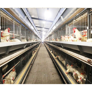 <span class=keywords><strong>Venta</strong></span> caliente pollos criados jaulas criador <span class=keywords><strong>gallinas</strong></span> ponedoras Gallo criador jaula para la <span class=keywords><strong>venta</strong></span> en la granja avícola <span class=keywords><strong>de</strong></span> Karachi - Product Image 1