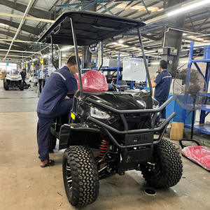Vente en gros de voiturette de golf design personnalisé Véhicules utilitaires 6 places au lithium Kart de golf tout-terrain 48V 72V voiturette de golf scooters électriques - Product Image 2