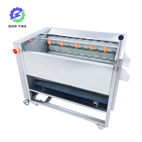 Droge Groente Dragon Fruit Wasmachine Automatische Borsteldata Reinigingsmachine Te Koop
