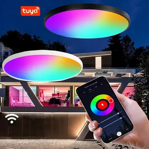 TuyaWifiシーリングランプモダンな色変更RGBフラッシュマウントLEDライトシーリングCCT調光可能AlexaGoogleホームLEDシーリングライト