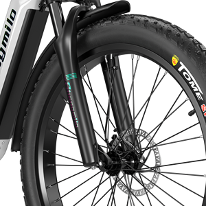 2025 nuevo diseño 26 pulgadas Motor medio CE 1000W barato 48V bicicleta de montaña eléctrica híbrida eléctrica MTB aleación de aluminio batería de litio - Product Image 5