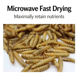 Siyah Su Sineği Kuru Takviyeleri Kalsiyum Besinleri Balıkçılık Yuvalama Yemleme Tavuk Yüksek <span class=keywords><strong>Protein</strong></span> - Product Image 3