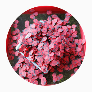 Nouveauté : Paillettes en argile polymère multi-types en forme <span class=keywords><strong>de</strong></span> coccinelle pour la décoration <span class=keywords><strong>de</strong></span> téléphones, les scrapbooking, les cartes shaker, <span class=keywords><strong>le</strong></span> remplissage <span class=keywords><strong>de</strong></span> slime DIY - Product Image 4