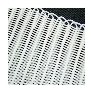 Polyester Plain Weave Press Filter Mesh Belt for Filtering Applications