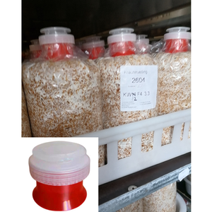 Capuchon et anneau en PP réutilisables pour sac de champignons comestibles capuchon et anneau haute ténacité pour sac de champignon huître roi - Product Image 3
