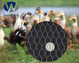 Malla <span class=keywords><strong>de</strong></span> <span class=keywords><strong>Alambre</strong></span> Hexagonal Recubierta <span class=keywords><strong>de</strong></span> PVC <span class=keywords><strong>para</strong></span> Cercas Agrícolas, Fabricada con <span class=keywords><strong>Alambre</strong></span> <span class=keywords><strong>de</strong></span> Hierro <span class=keywords><strong>de</strong></span> Bajo Contenido <span class=keywords><strong>de</strong></span> Carbono - Product Image 4