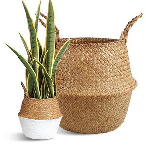 Venta al por mayor hecho a mano tejido de la planta de almacenaje del vientre canasta - Product Image 1