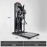 Machine Commerciale en Acier à Sélection de Poids, Multi-Exercices, pour Élévations Latérales Doubles et Pectorales, Résistance Réglable, Pile de Poids de 170 Lbs