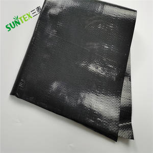 Rivestimento in polietilene nero RPE telone in plastica geomembrana, 3 strati flessibile acqua stoccaggio stagni agricoli coprire 30m di larghezza - Product Image 2