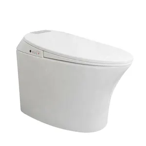 Wholesale Bathroom Vanity Wc Toilets One Piece Automatic Flushing Washroom Smart Intelligent Wc Toilet
