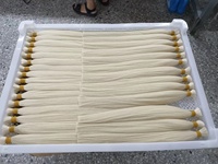 Lots de Cheveux Remy de Haute Qualité en Gros, Cheveux Russes Non Traités, Paquets de Cheveux Bruts Sans Trame