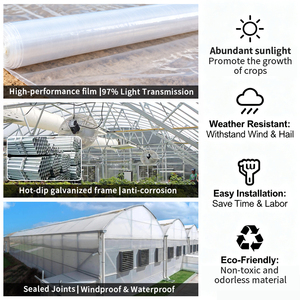 Greenhouse Offre Spéciale bon marché <span class=keywords><strong>pour</strong></span> l'agriculture de la myrtille Serre multi-travée en 2025 <span class=keywords><strong>pour</strong></span> la culture de plantes - Product Image 2