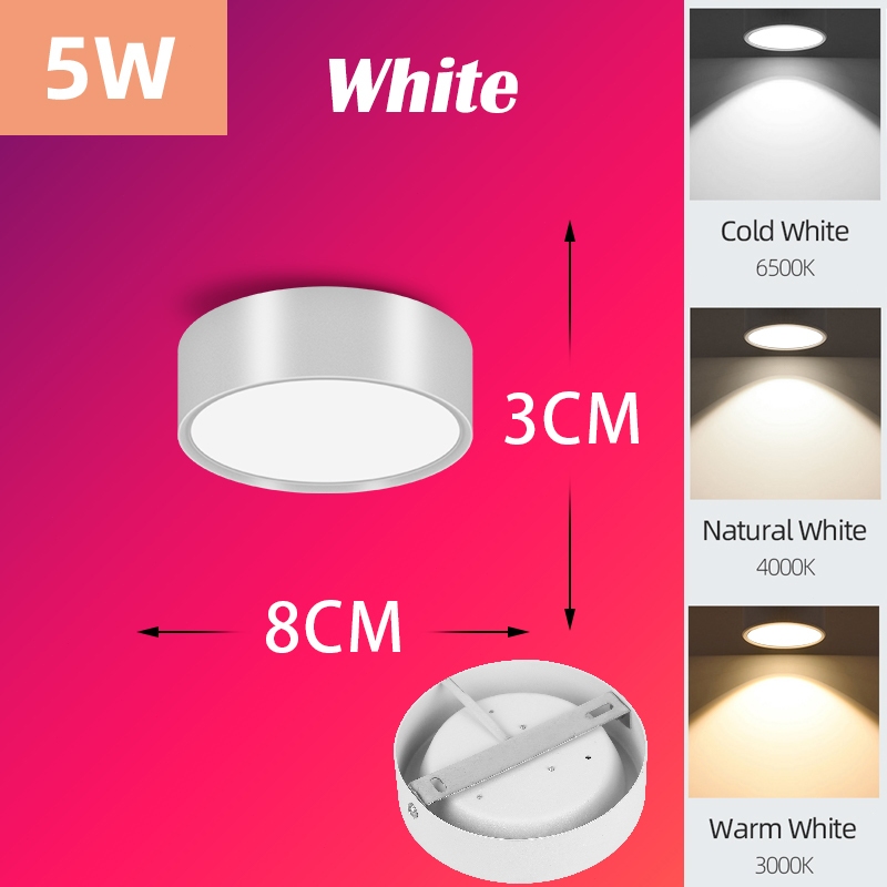White-5W-TypeB