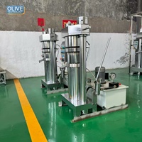 Industriële hydraulische zonnebloem-, palmolie- en kleine olijfoliepers, handmatige koude persmachine