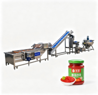 Complete tomatenpuree verwerkingsapparatuur, automatische tomatenverpletterende, mengende en vulproductielijn