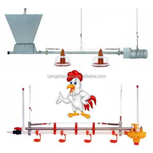 Équipement moderne de volaille de cage de batterie de ferme de poulet bon marché de ZB