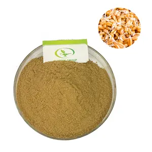 GMP Venta caliente de alta calidad a granel fermentado extracto de germen de trigo en polvo
