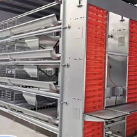 Cage à Poules Pondeuses Automatique Type H | Équipement Avicole de Haute Qualité pour 200 à 1000 Oiseaux