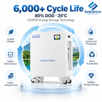Batterie LiFePO4 51,2 V 200 Ah pour stockage d'énergie domestique, batterie lithium LiFePO4 51,2 V, batterie solaire murale ESS