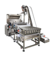 LST 2025 Offre Spéciale Ligne d'enrobage automatique de chocolat pour l'enrobage de gâteaux Busicuit Caramel et la machine à organiser automatiquement