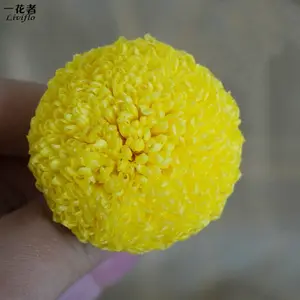 Instagram Meilleure Vente Fleur Éternelle PingPang Chrysanthème Tête