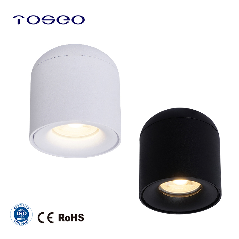 Nordic Design Aluminum Surface Mount LED Downlight Living Room Ceiling Lamp
